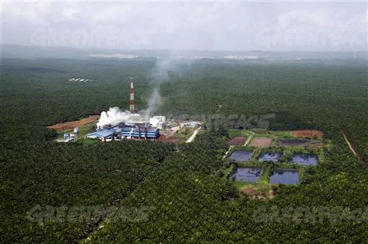 A palm oil factory in the Riau province, Indonesia, Courtesy: Greenpeace International