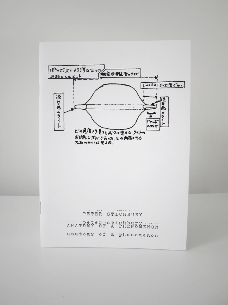 Anatomy of a Phenomenon Zine 24 Pages, 14.5 x 20.5 cm, b/w Digital, Edition of 100, 2014