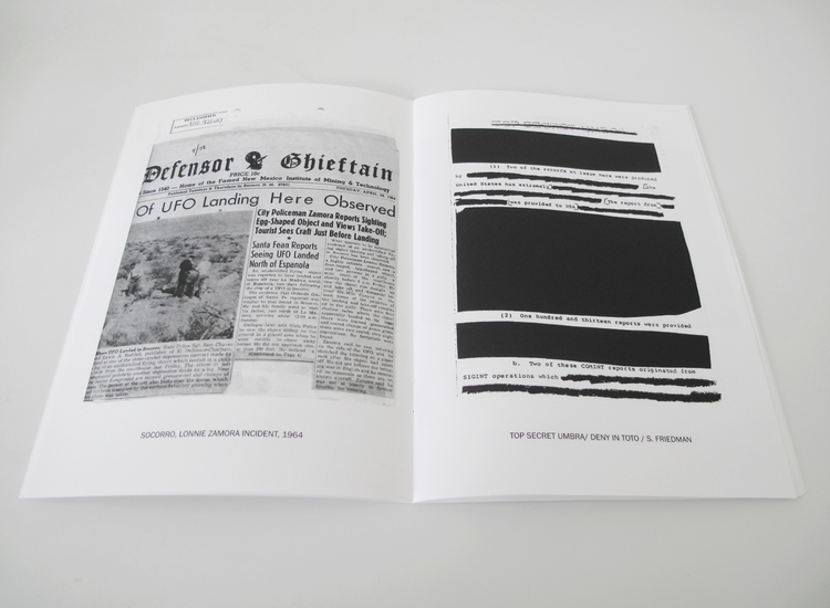 Anatomy of a Phenomenon Zine 24 Pages, 14.5 x 20.5 cm, b/w Digital, Edition of 100, 2014