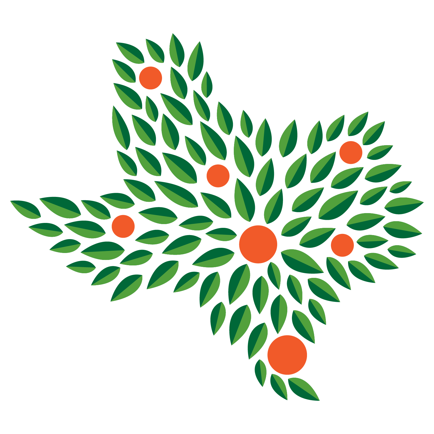 TexasOranges.png