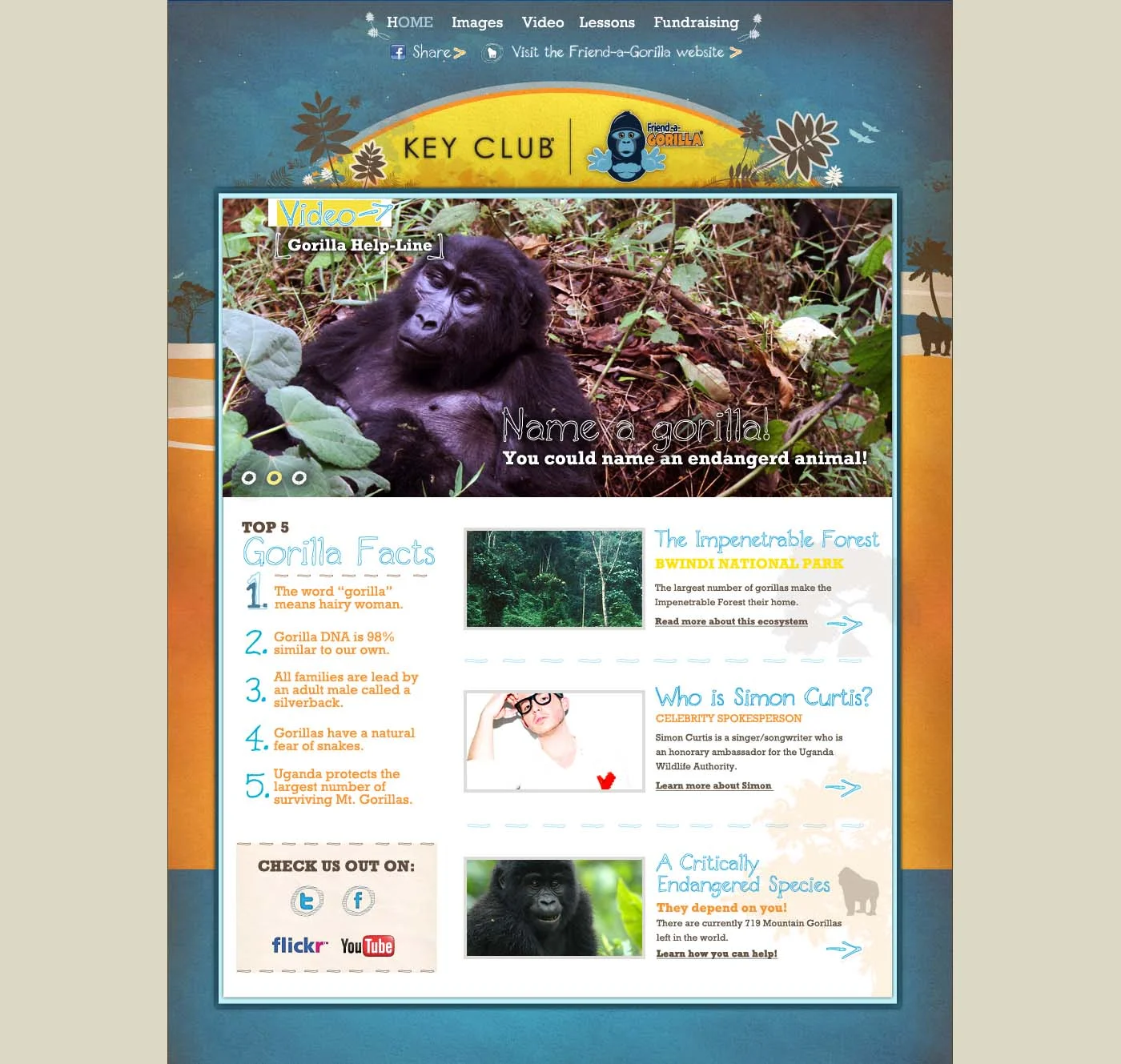 HomePG_0001_full name gorilla.jpg