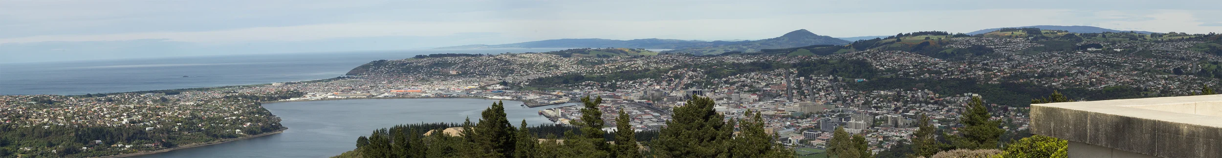 DunedinDayPanorama.jpg