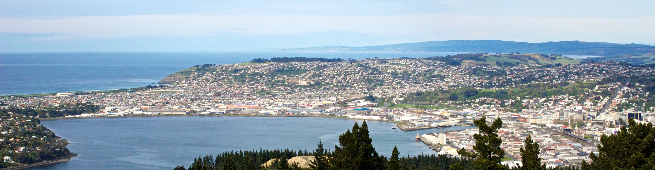 dunedin.jpg