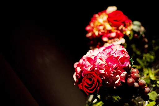 2012-12-03 16.50.28.jpg