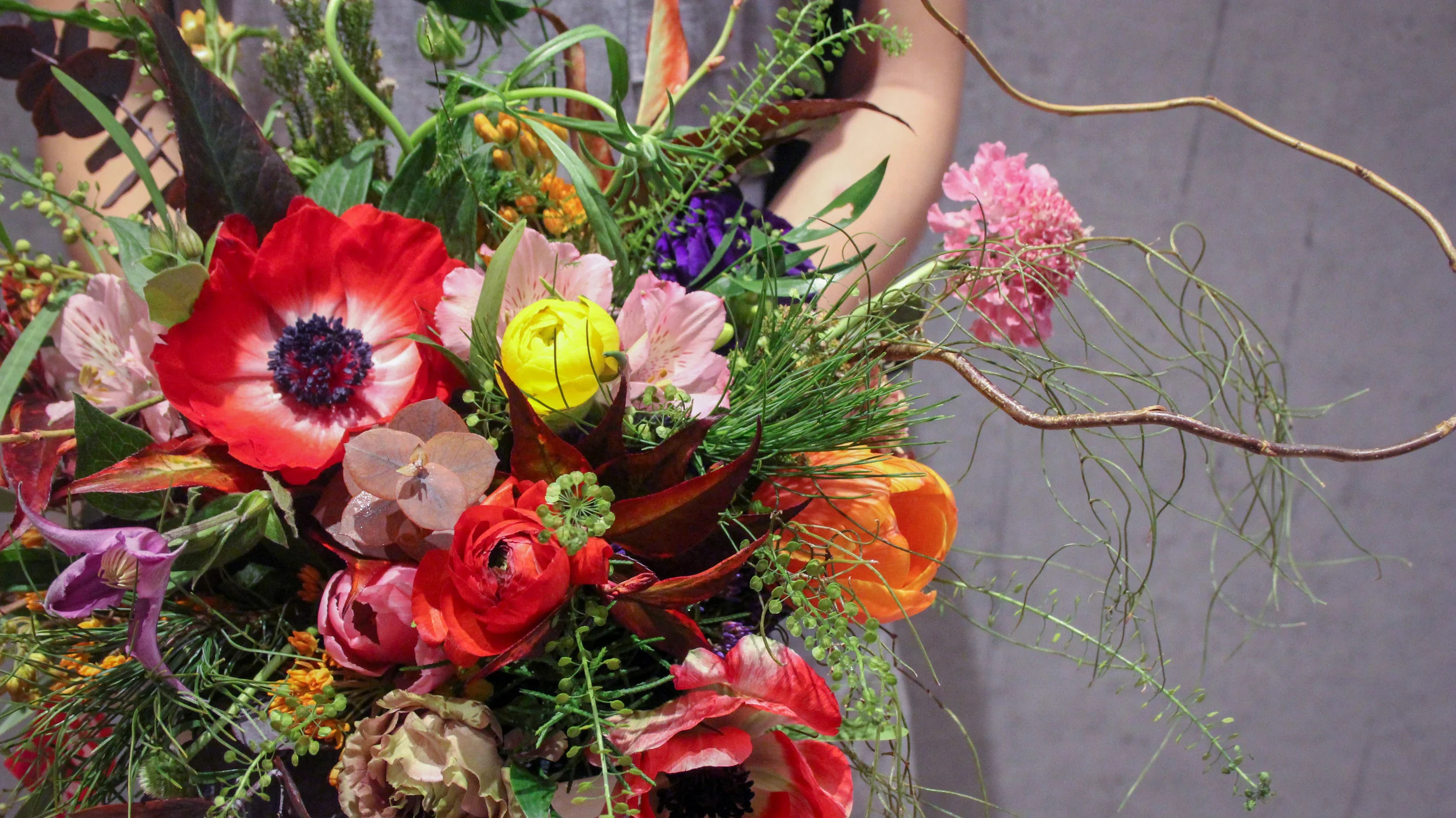 flower-evolution1.jpg