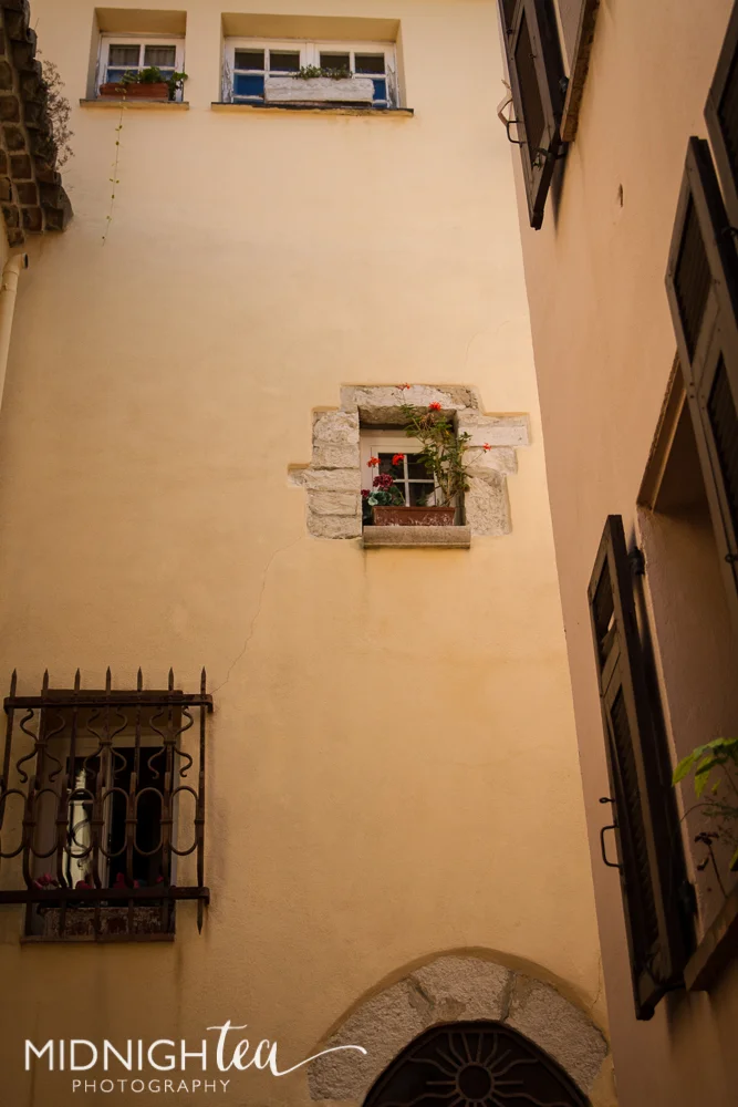IMG_3859.jpg