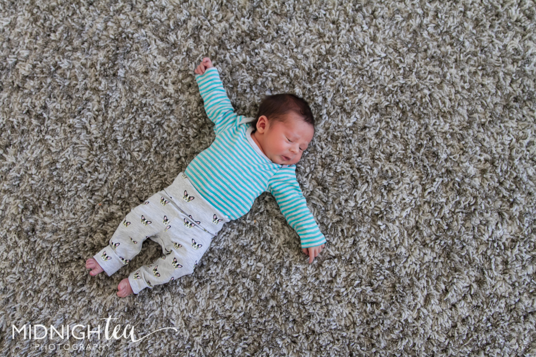 JohnsonFamily-3.jpg