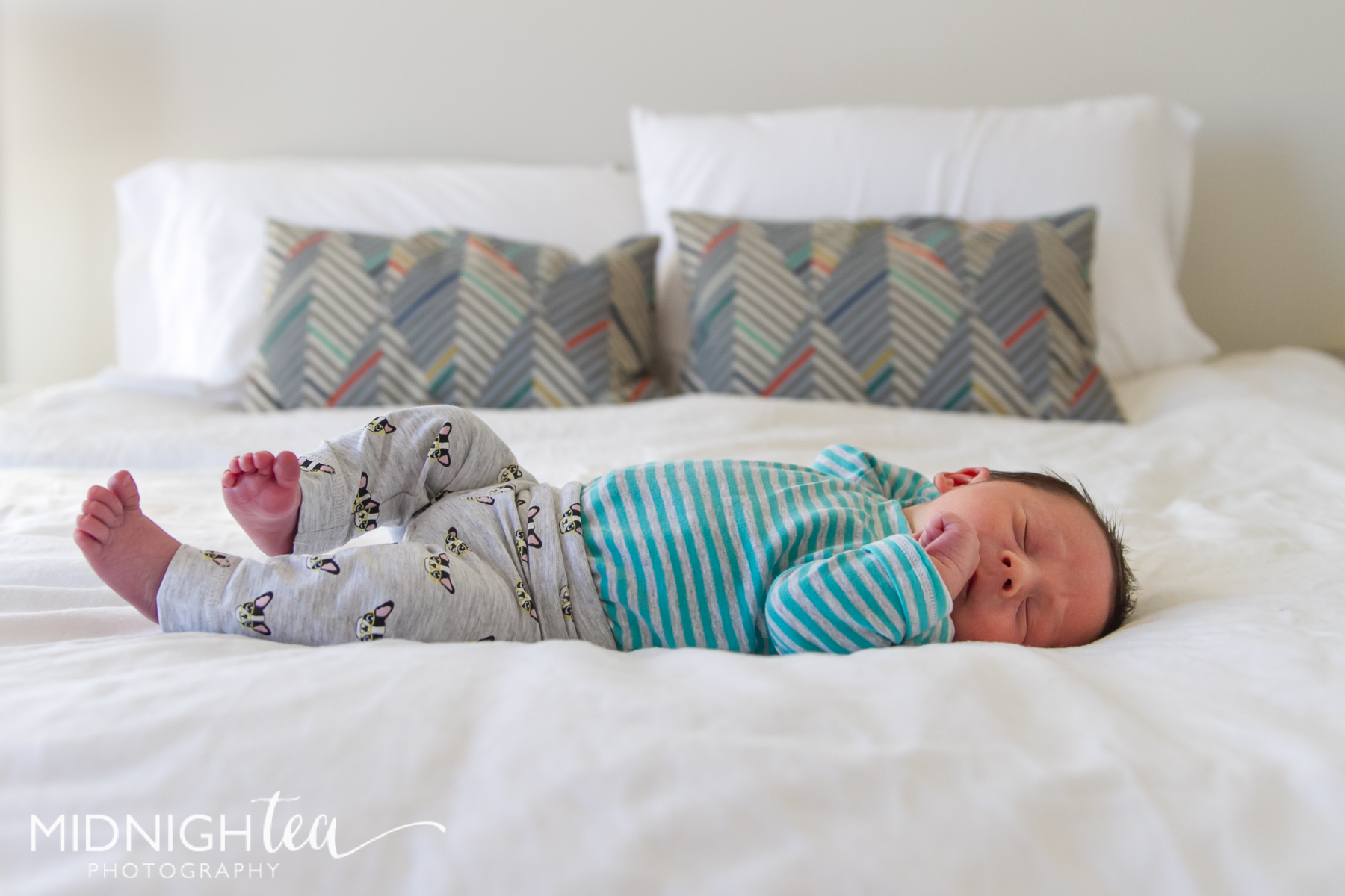 JohnsonFamily-59.jpg