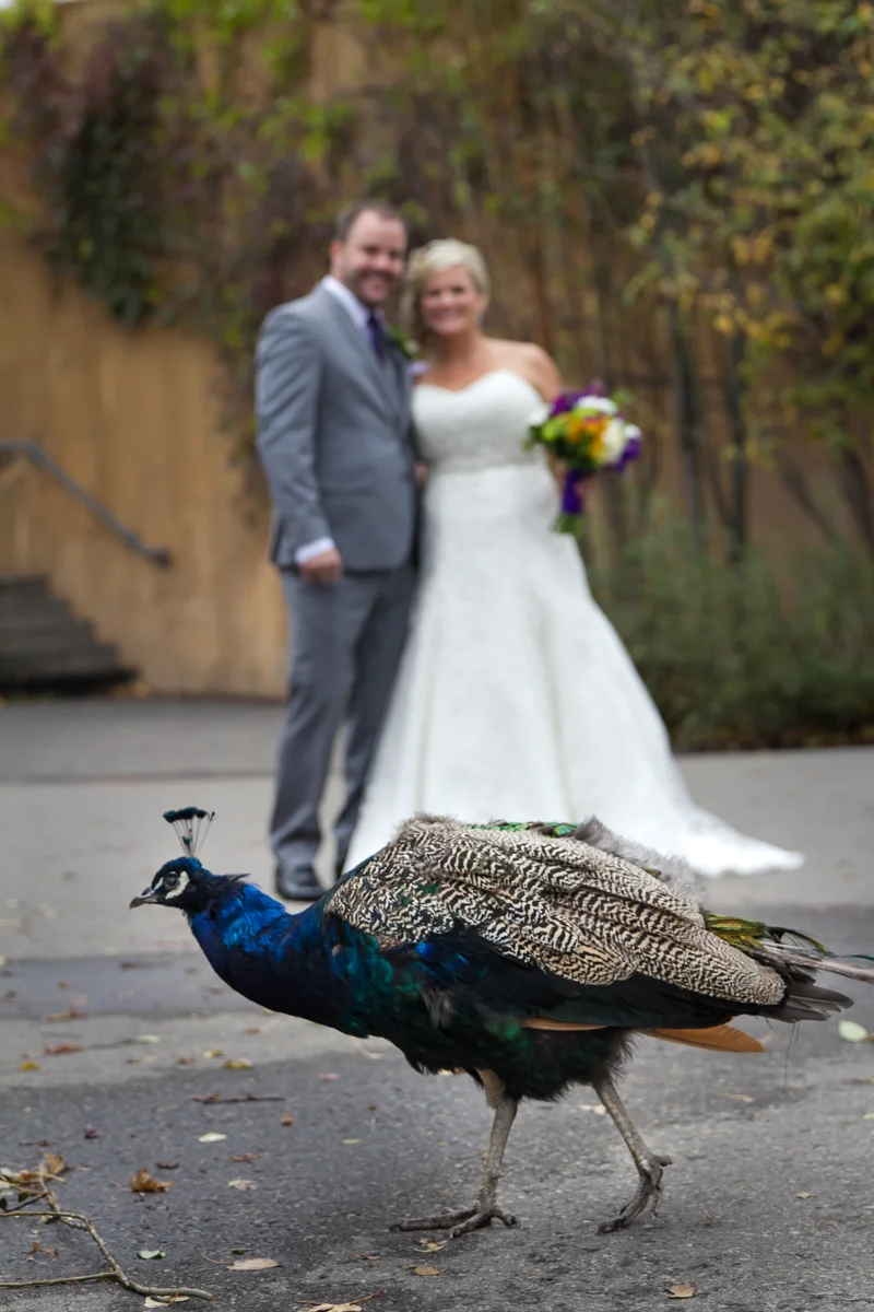 Curtis+Chrissy_Wedding_Share-204.jpg