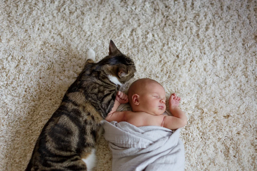K+KPhotography_LuluNewborn_Share-19.jpg