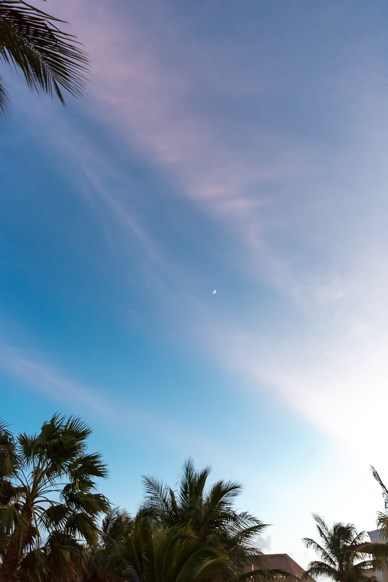 K+K_L+S_MexicoWedding-Share-486.jpg