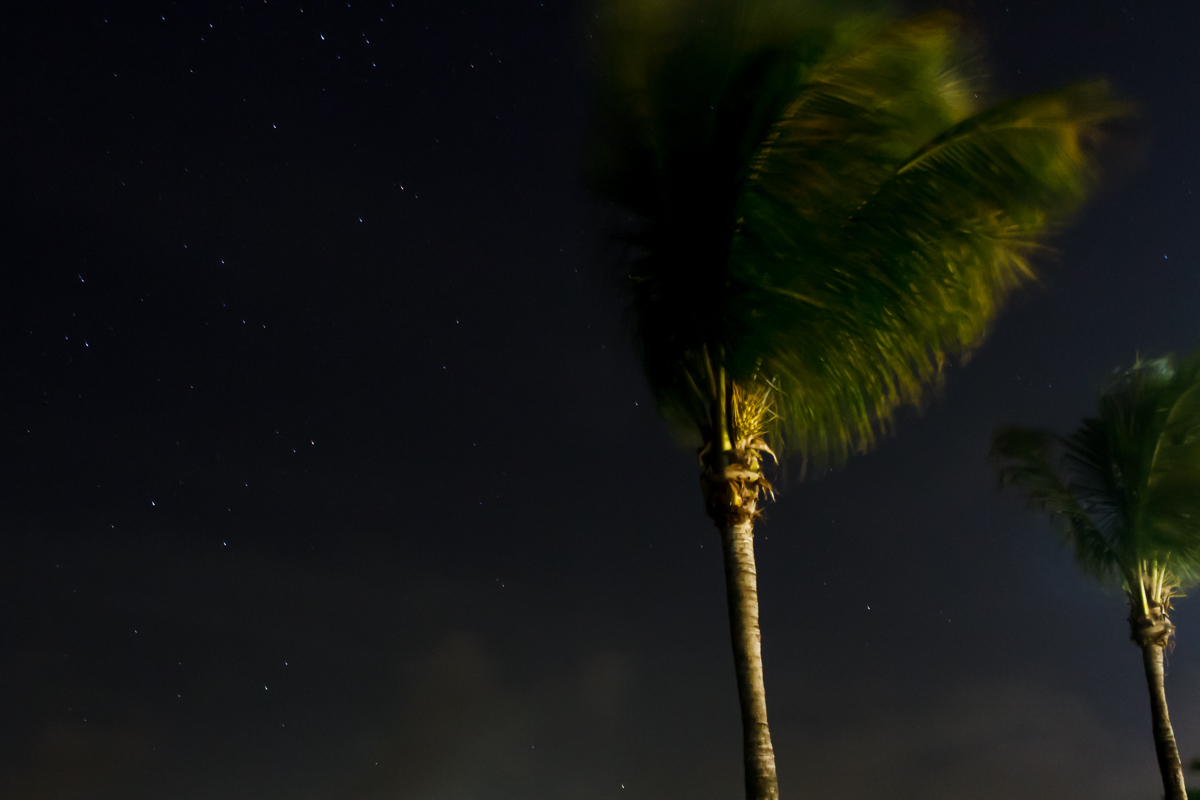 K+K_L+S_MexicoWedding-Share-590.jpg