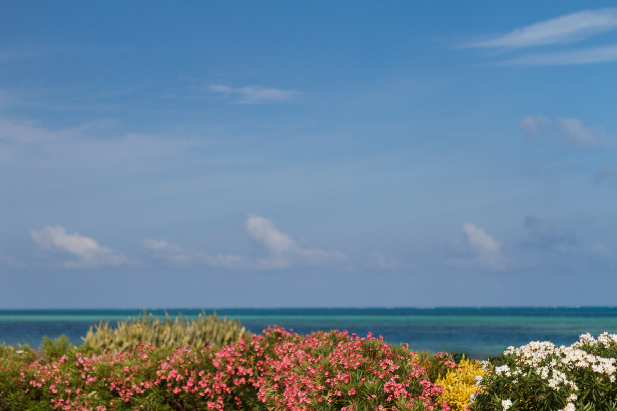 K+K_L+S_MexicoWedding-Share-290.jpg