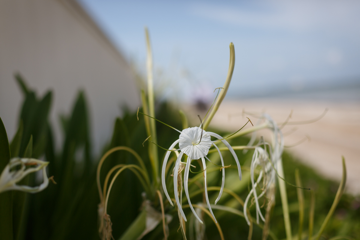 K+K_L+S_MexicoWedding-Share-300.jpg