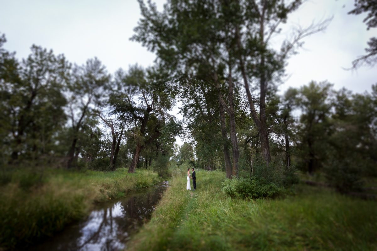 K+K_L+P_Wedding-Share-29.jpg