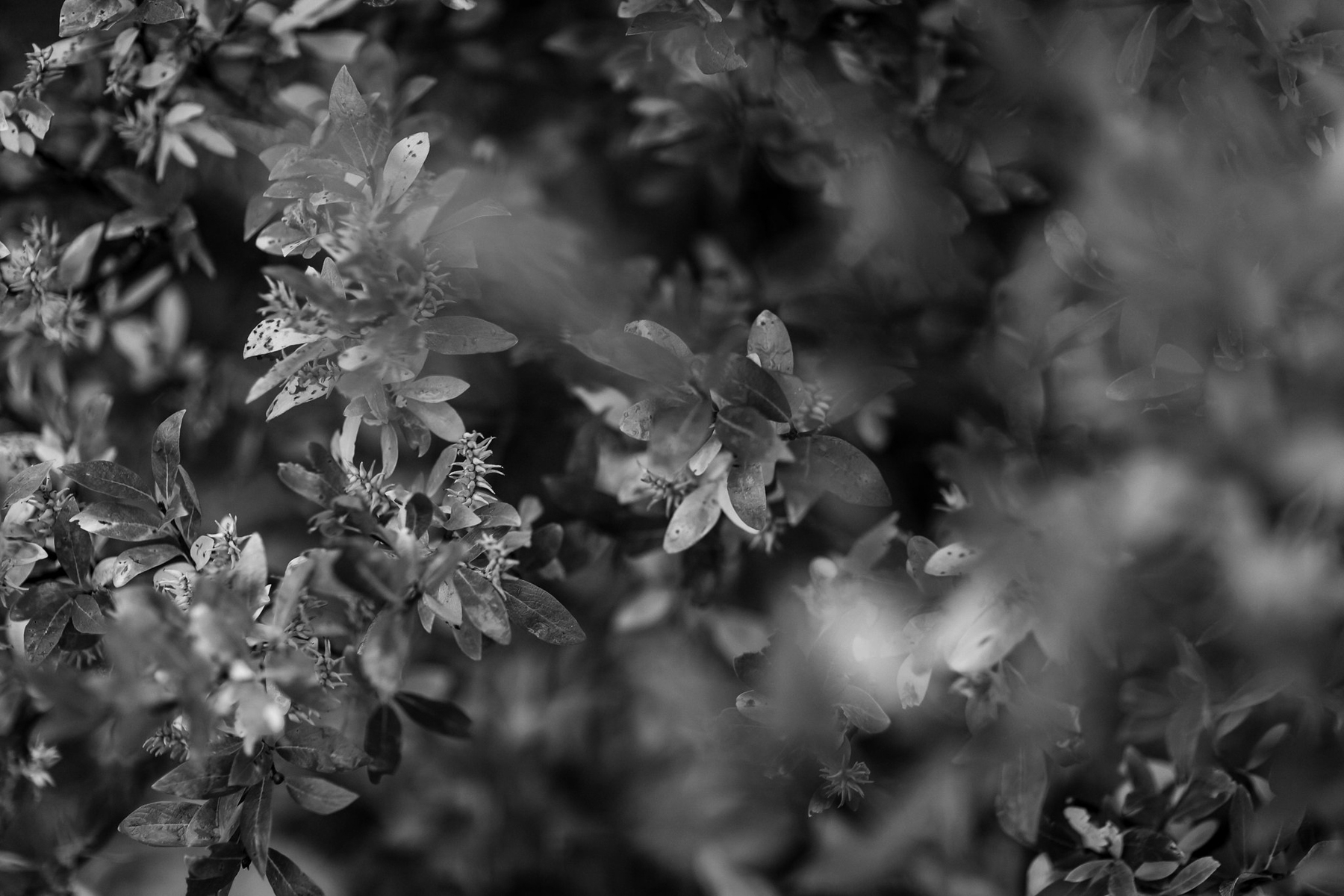 K+KPhotography_YIR17-51.jpg