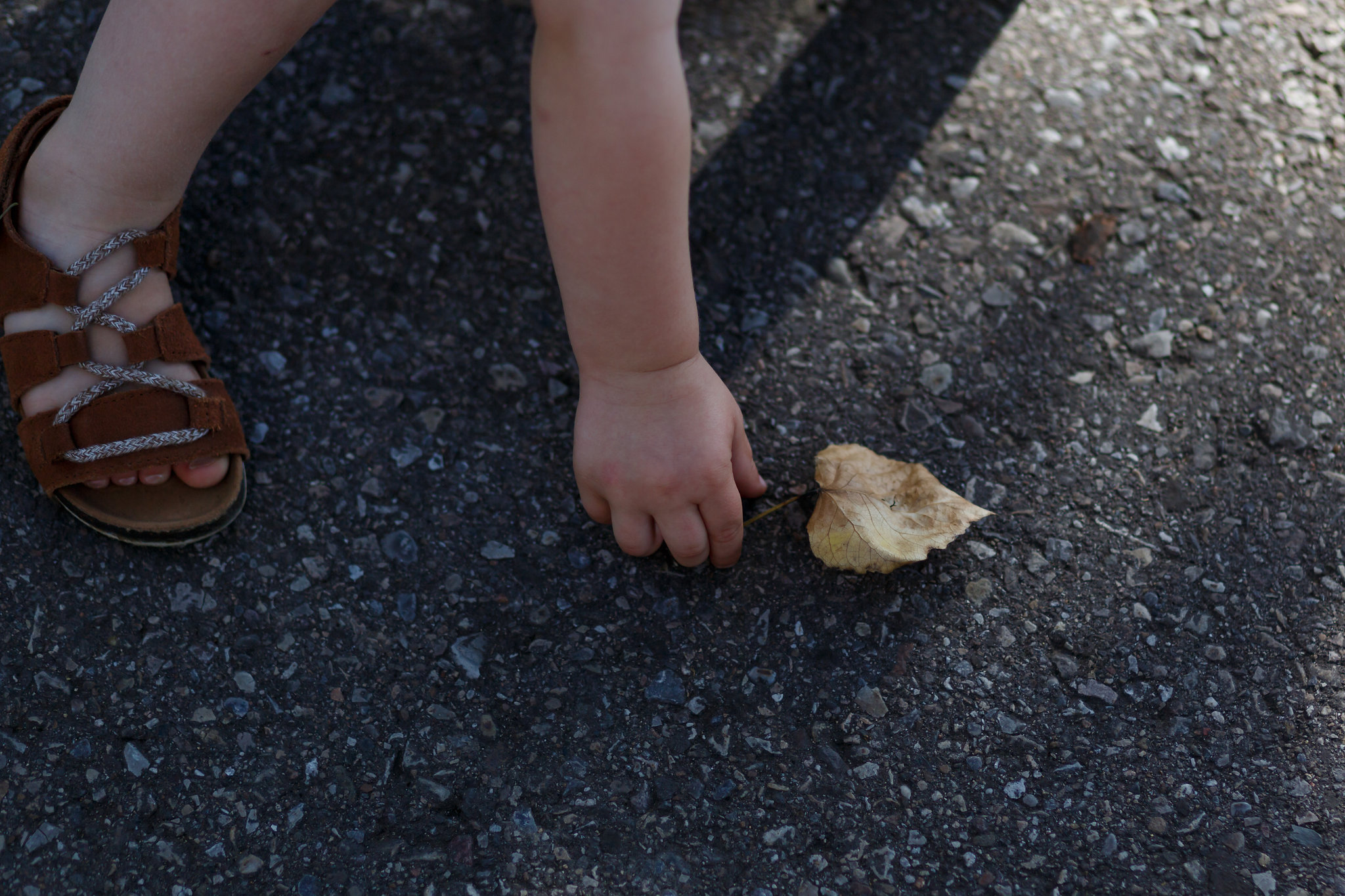 K+KPhotography_ErinFriesen_ExtendedFam-119.jpg