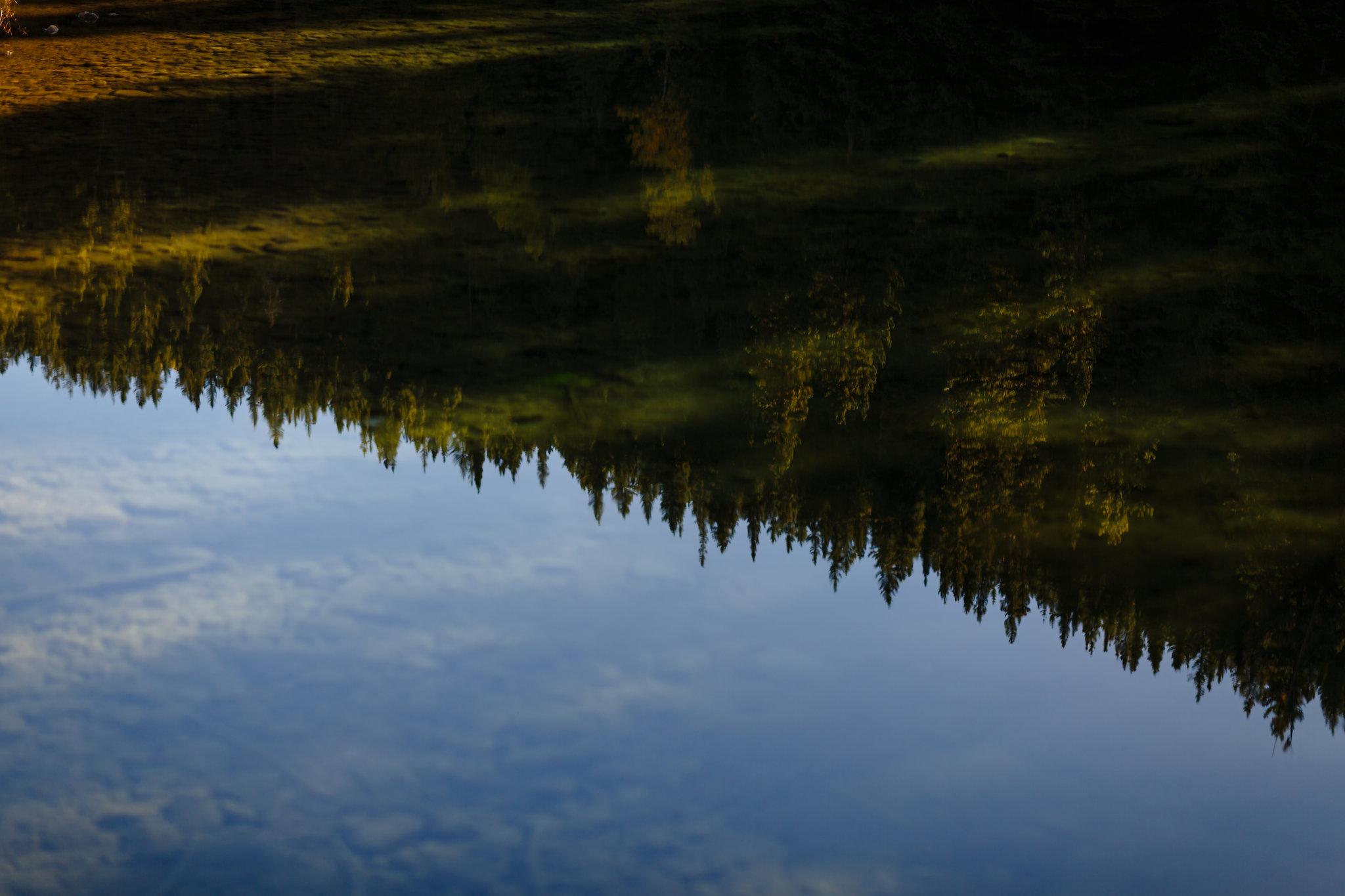 K+KPhotography_M,J+LFamily-110.jpg