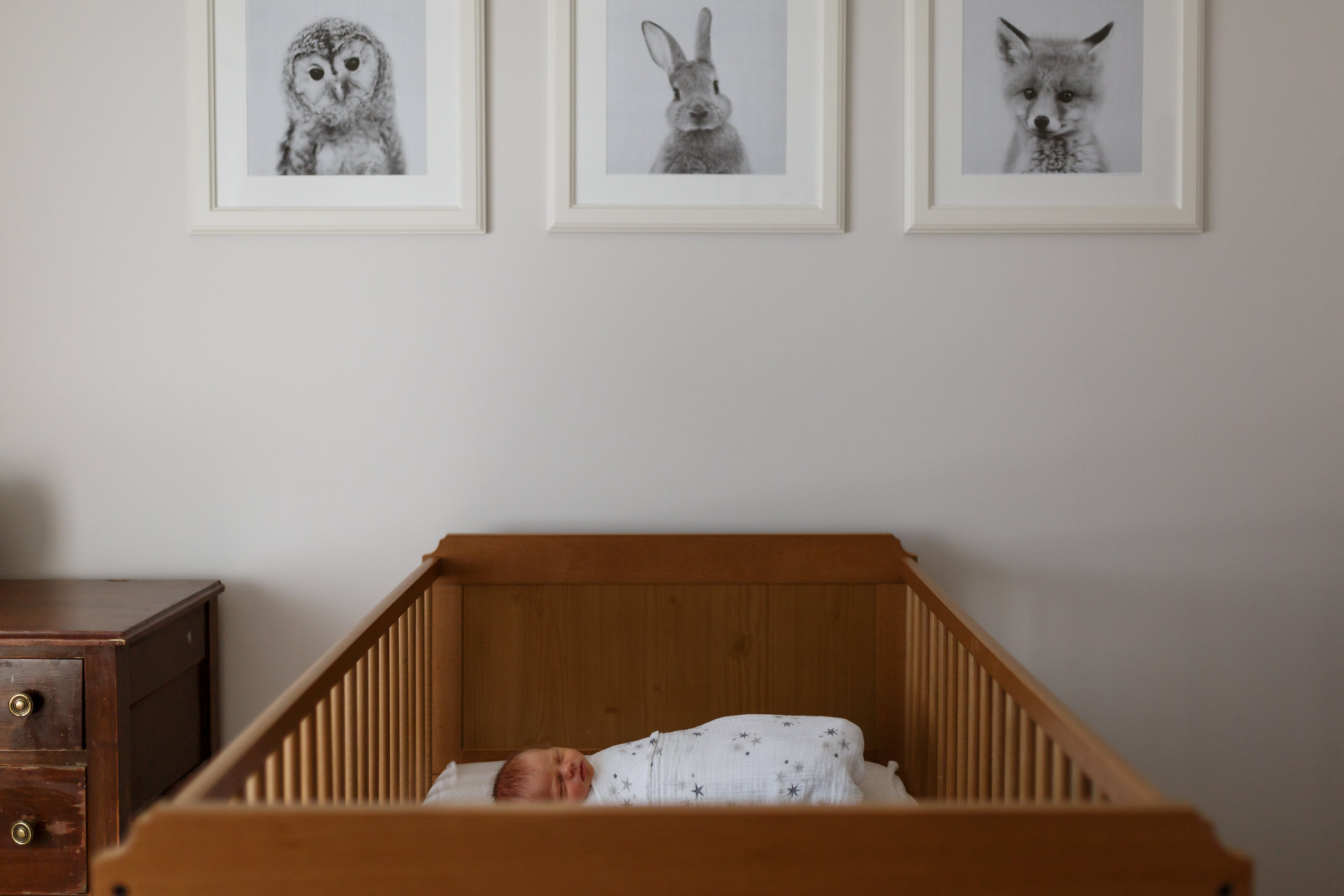 K+KPhotography_LangFamily-2.jpg
