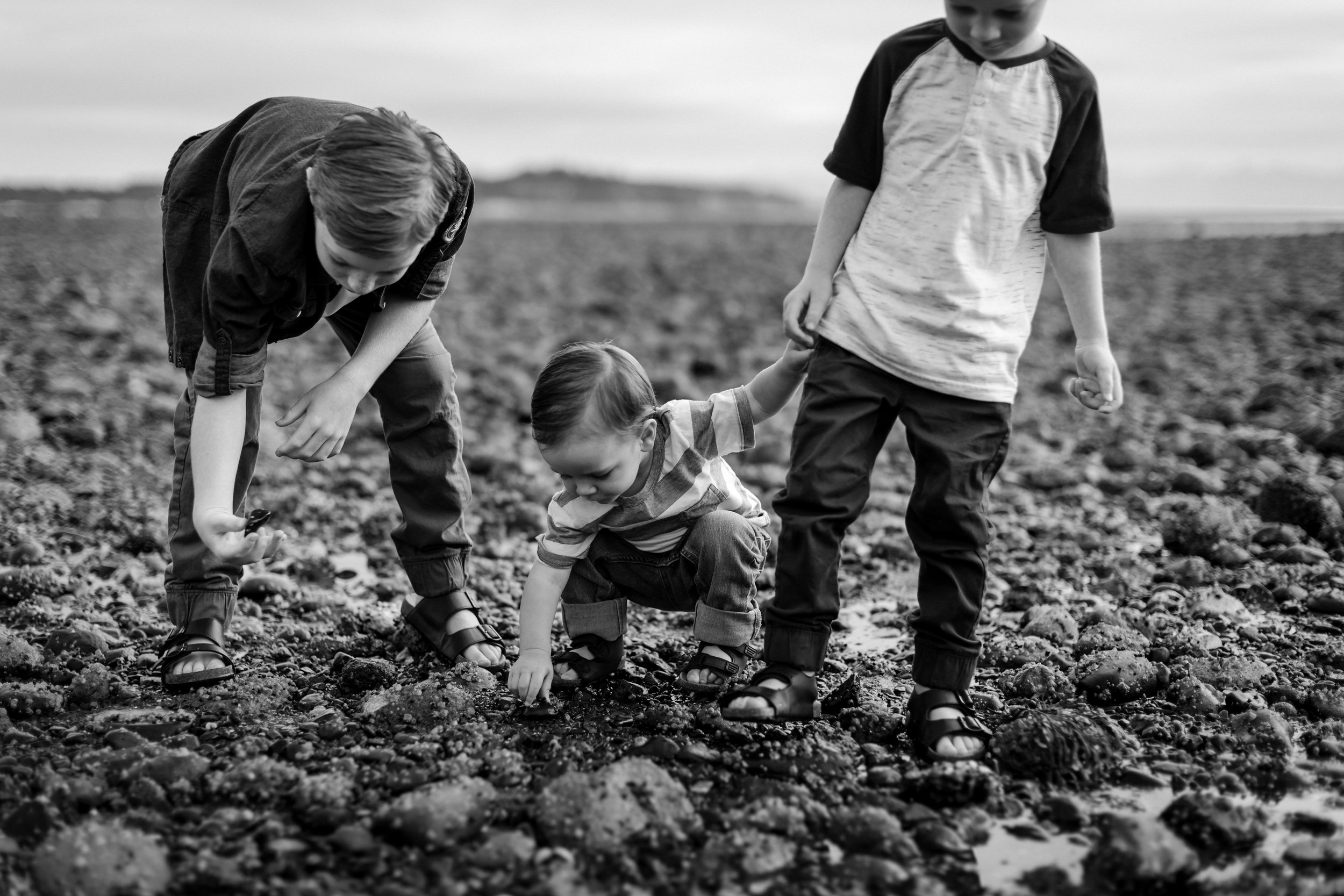 K+KPhotography_HartwickFamily-20.jpg