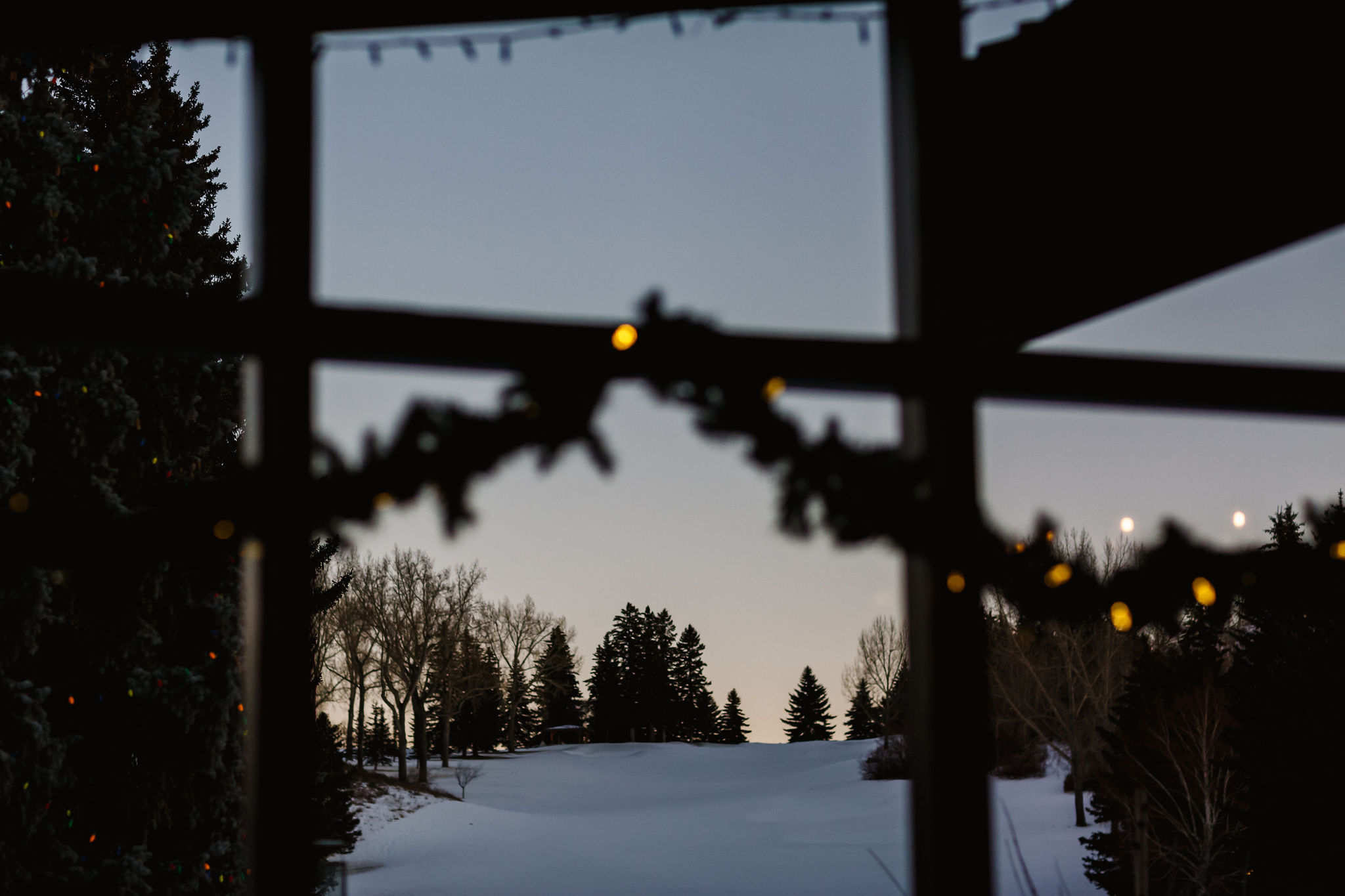 K+KPhotography_L+TWedding-429.jpg