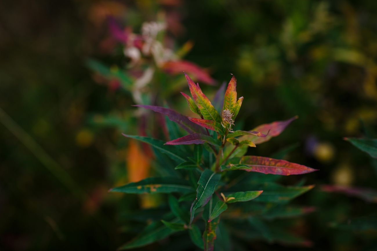 340-kendalandkevinphotography.jpg