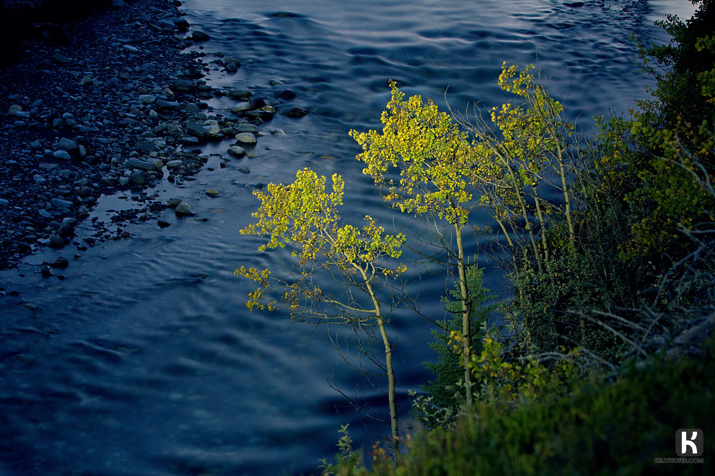 IMG_2733-Edit.jpg
