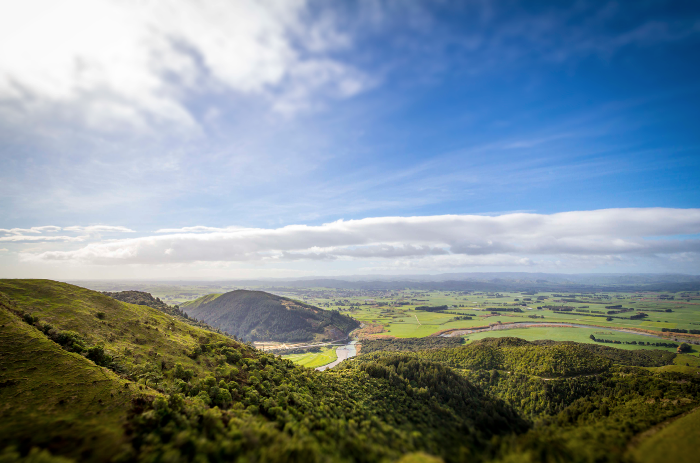 Ricoh, doing their bit to keep NZ beautiful!