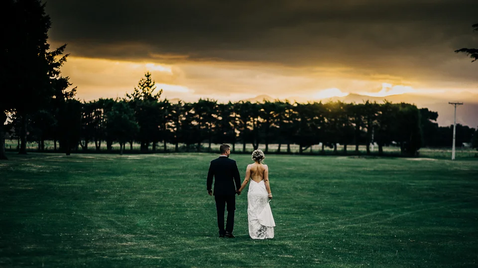 Take a liking to a viking