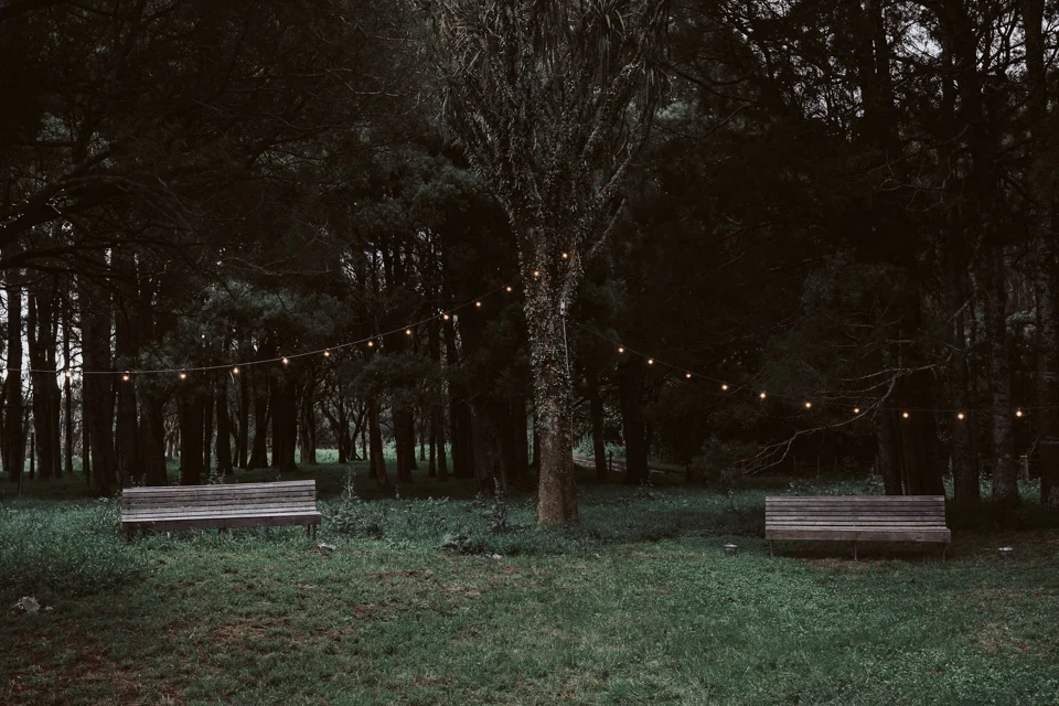 Jess161lowres.jpg