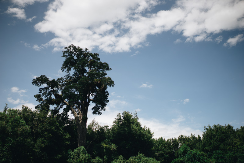 Amanda + Hayden // Pohingina