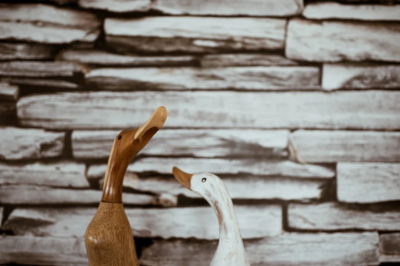 Helene + Paul // Caroline Creative Gardens