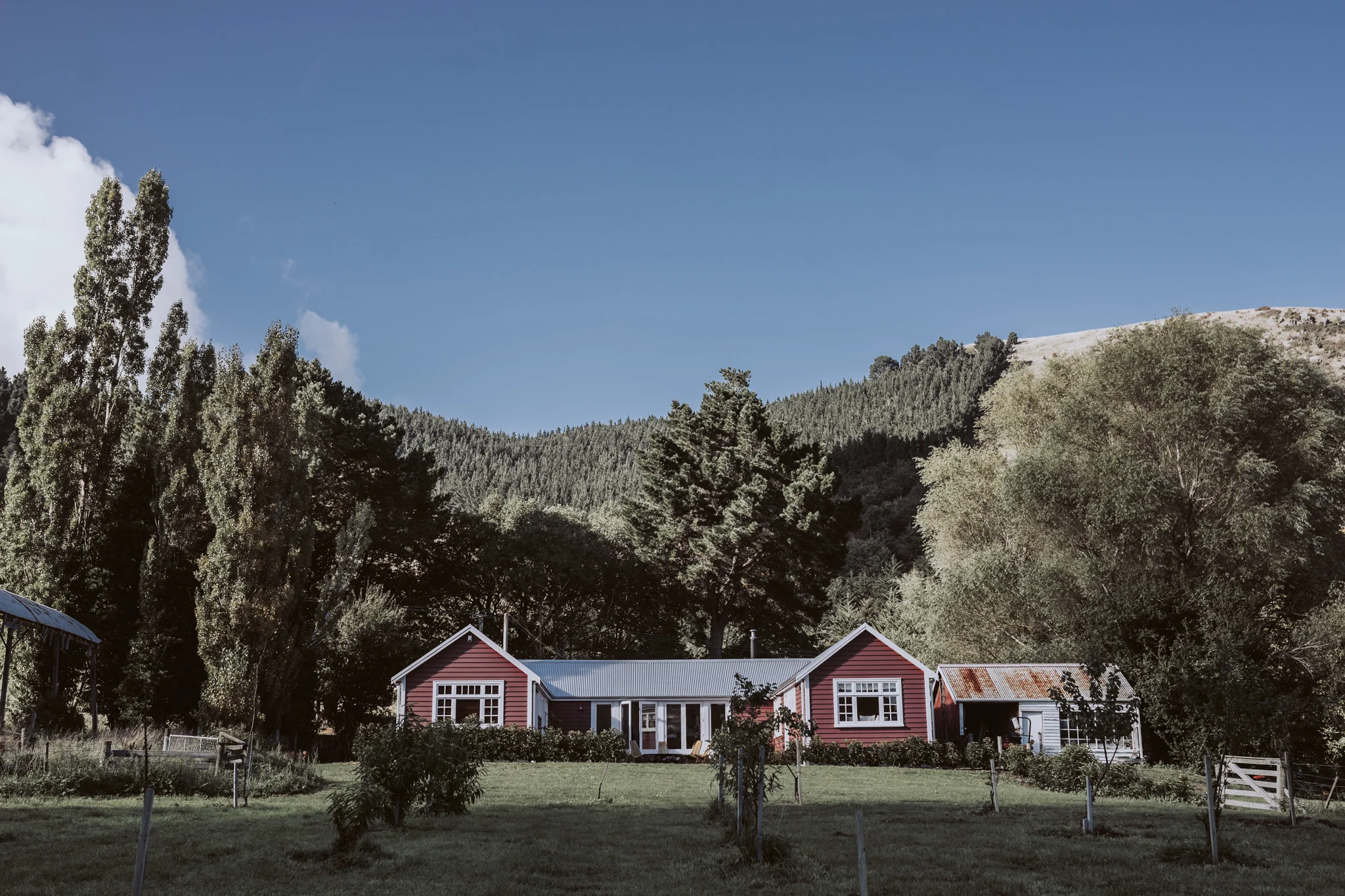 Amy + Joel // Cossars Wineshed