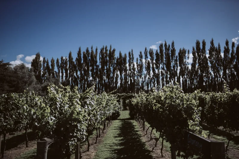 Amy + Joel // Cossars Wineshed