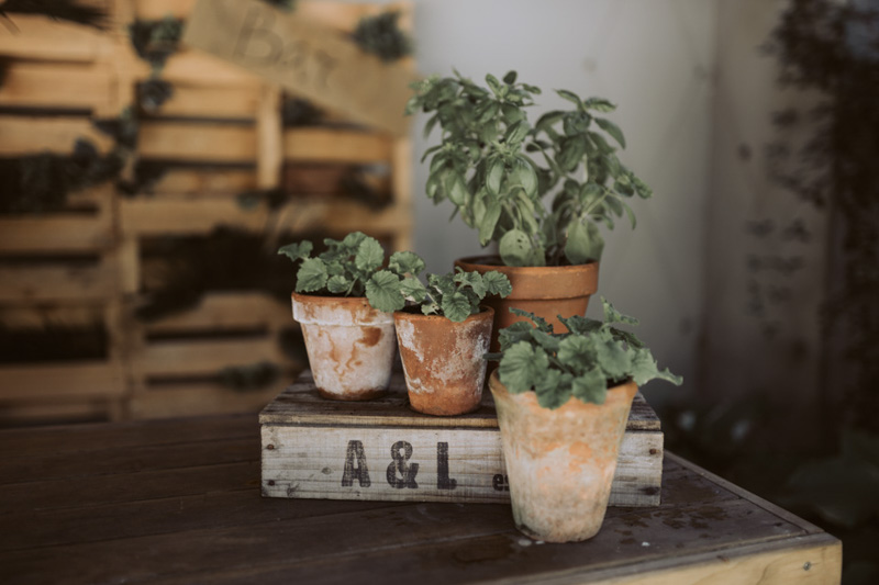 Amy + Joel // Cossars Wineshed