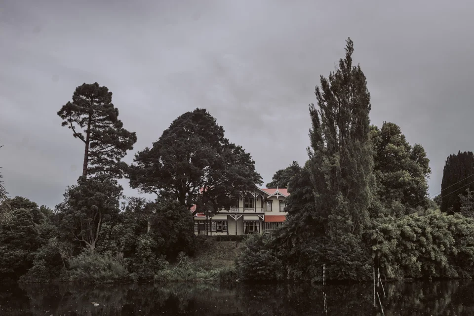 David Le 2018 // www.davidle.co.nz