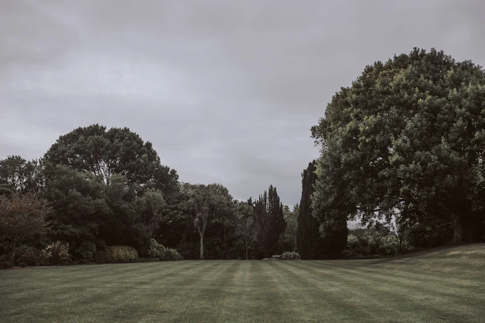 David Le 2018 // www.davidle.co.nz