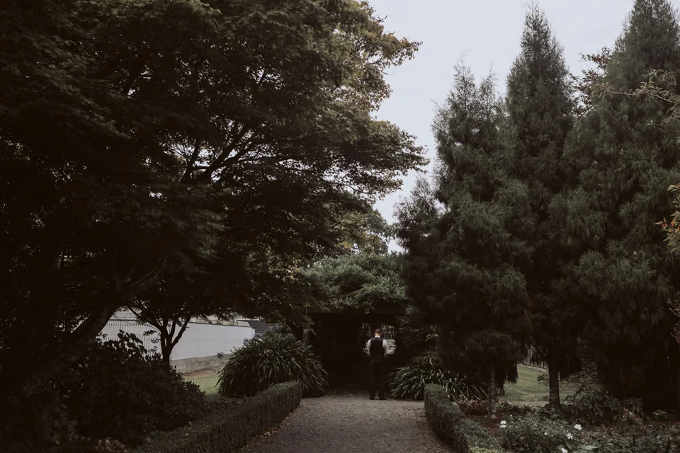 David Le 2018 // www.davidle.co.nz