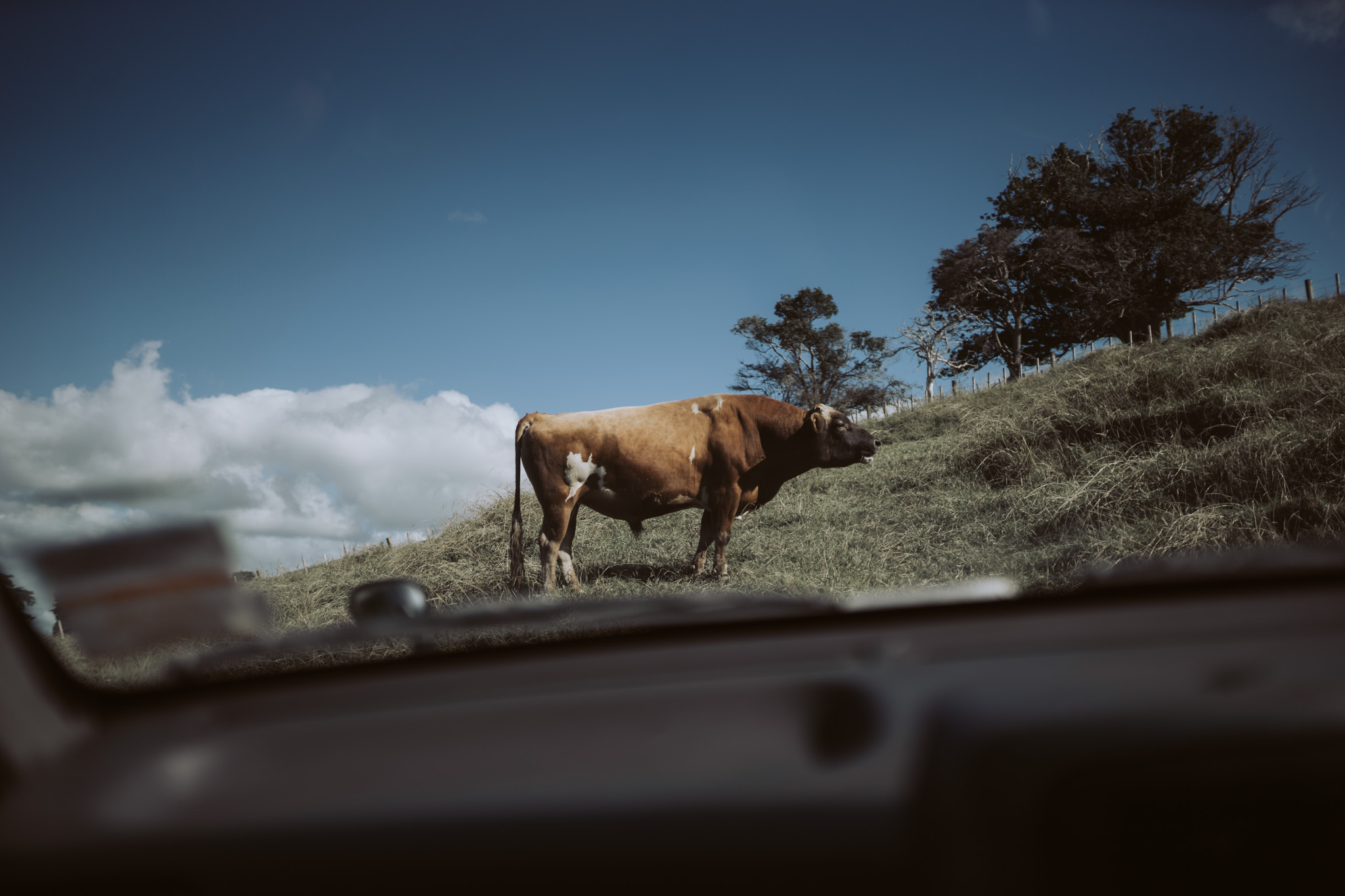 Lisa + John // Nocton Woolshed Clevedon