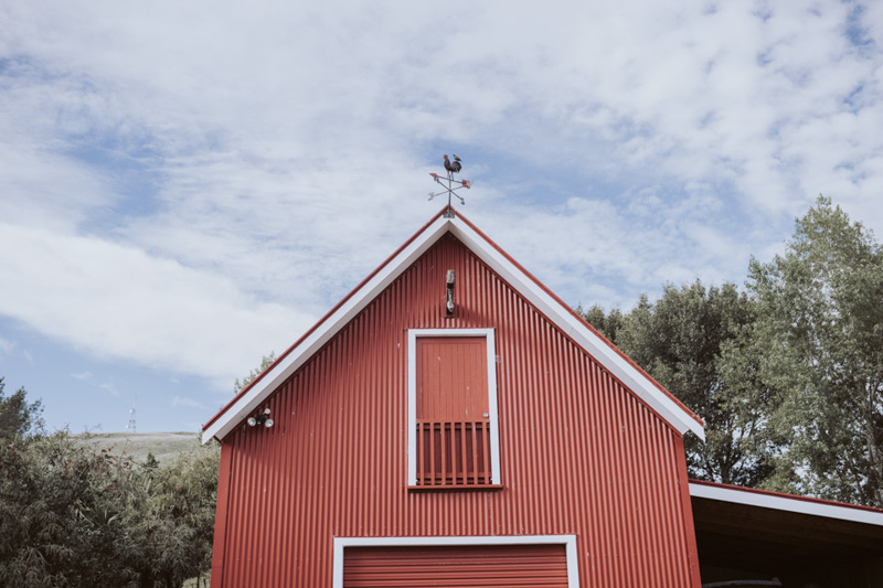 Georgie + Glenn // Backyard Wedding