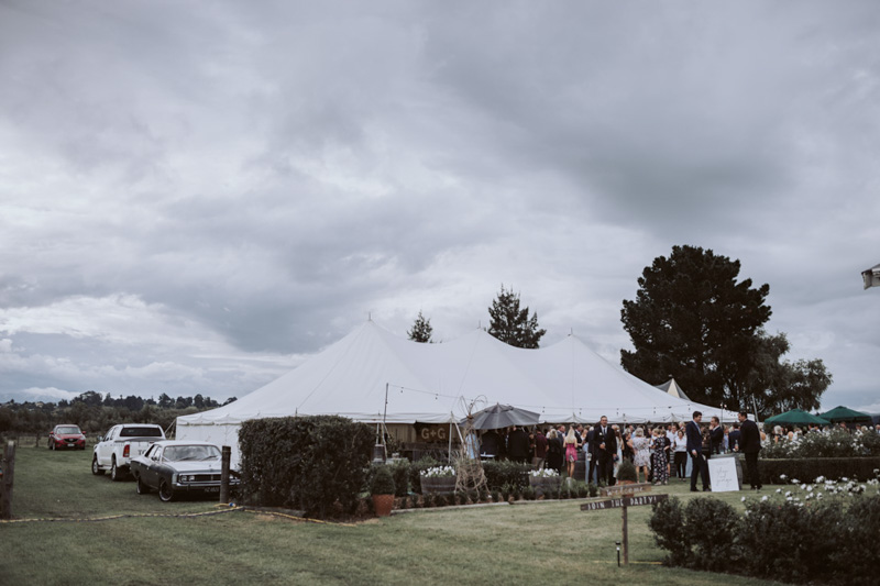 Georgie + Glenn // Backyard Wedding