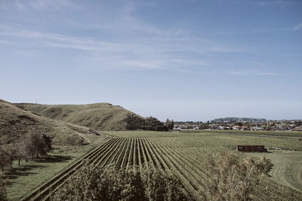 Nicole + Ben // The Mission Estate