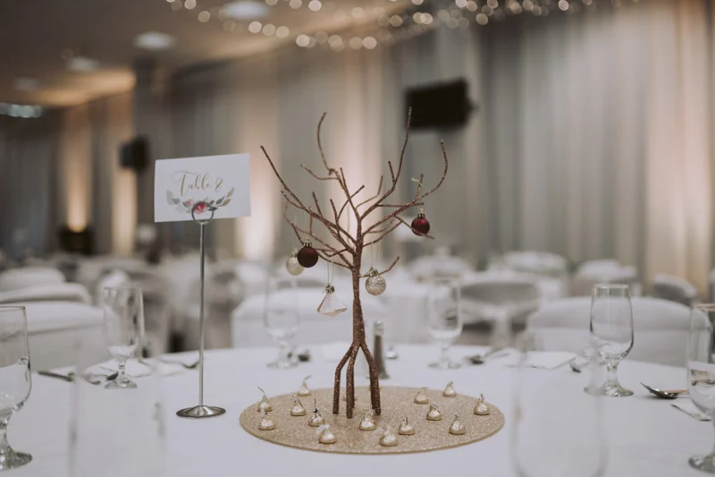 New Zealand Wedding Photographer David Le Design & Photography