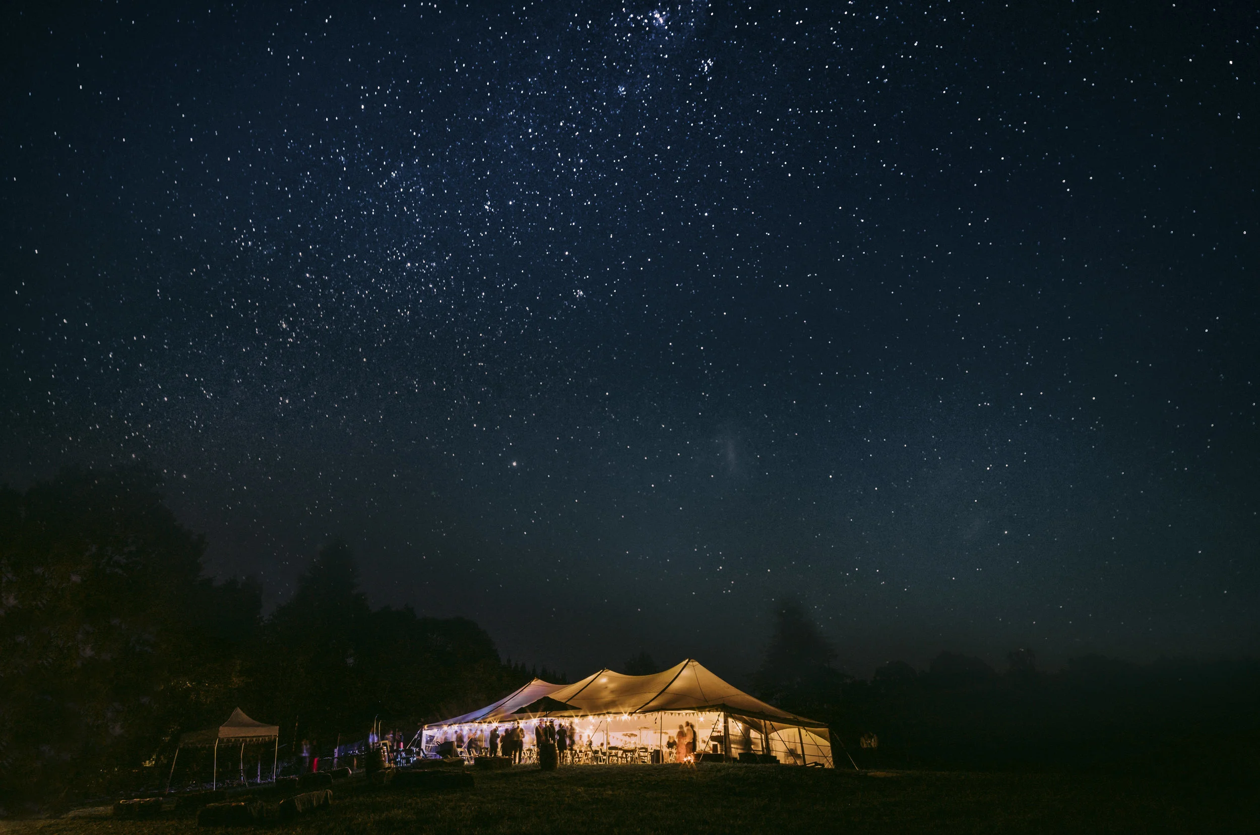 David Le 2018 // www.davidle.co.nz