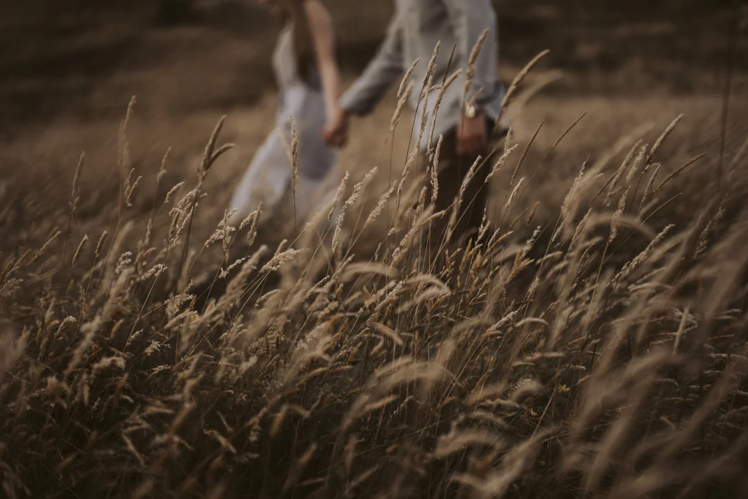 Amaya + Joshua | Engagement