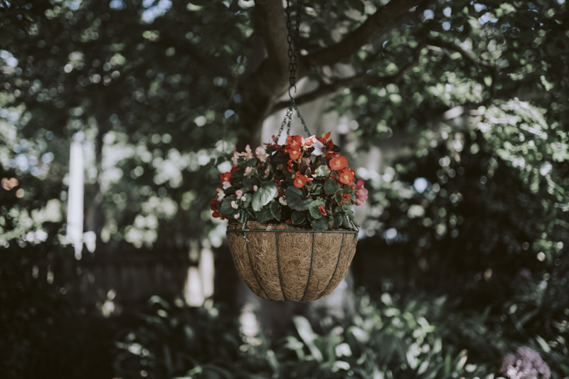 New Zealand Wedding Photographer David Le Design & Photography