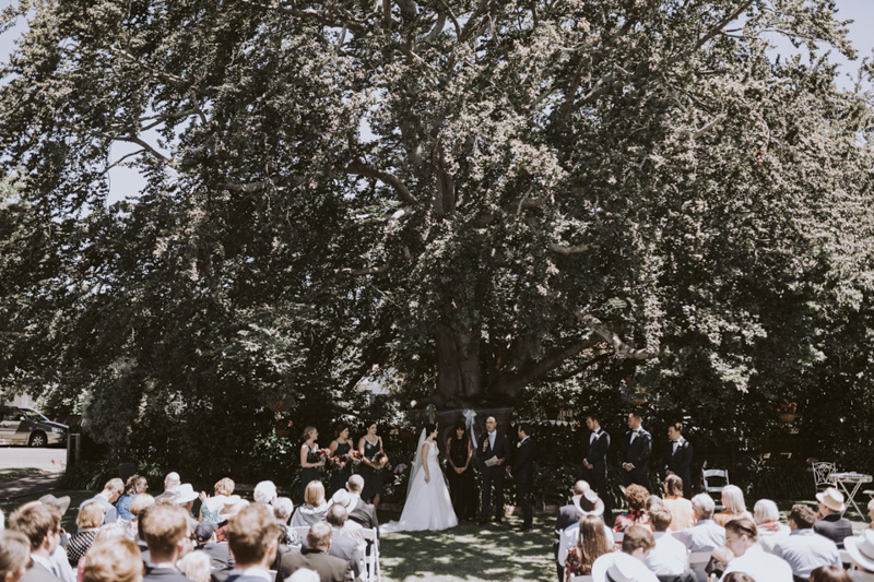 New Zealand Wedding Photographer David Le Design & Photography
