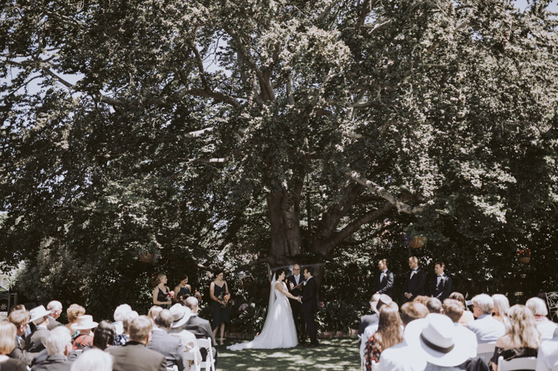 New Zealand Wedding Photographer David Le Design & Photography