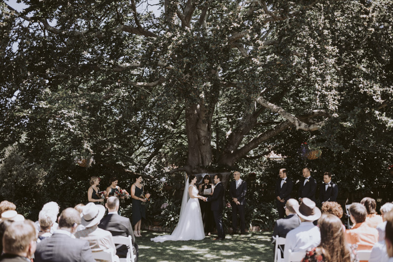 New Zealand Wedding Photographer David Le Design & Photography