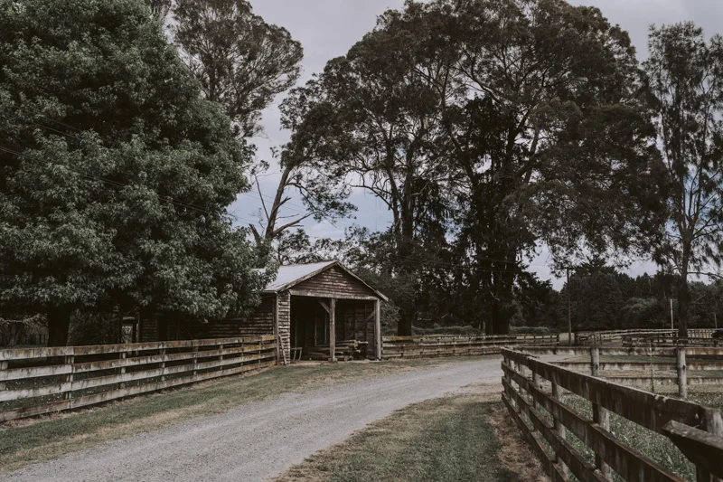 New Zealand Wedding Photographer David Le Design & Photography